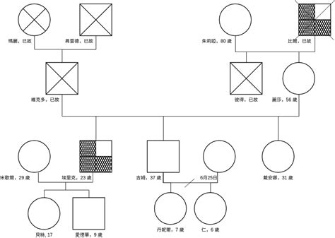 家庭圖關係線|免費可編輯家系圖範例與模板 